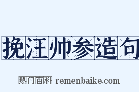 挽汪帅参造句是什么意思的图片